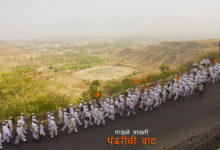 वारी