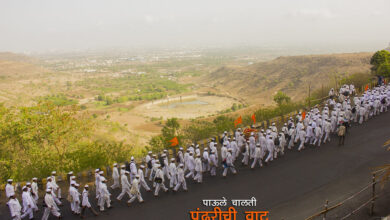 वारी
