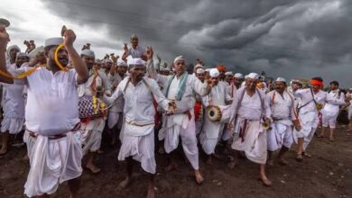vaari