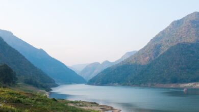 Godavari River